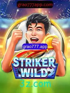 Descobrindo StrikerWILD: A Emoção Incomparável do Novo Jogo Online